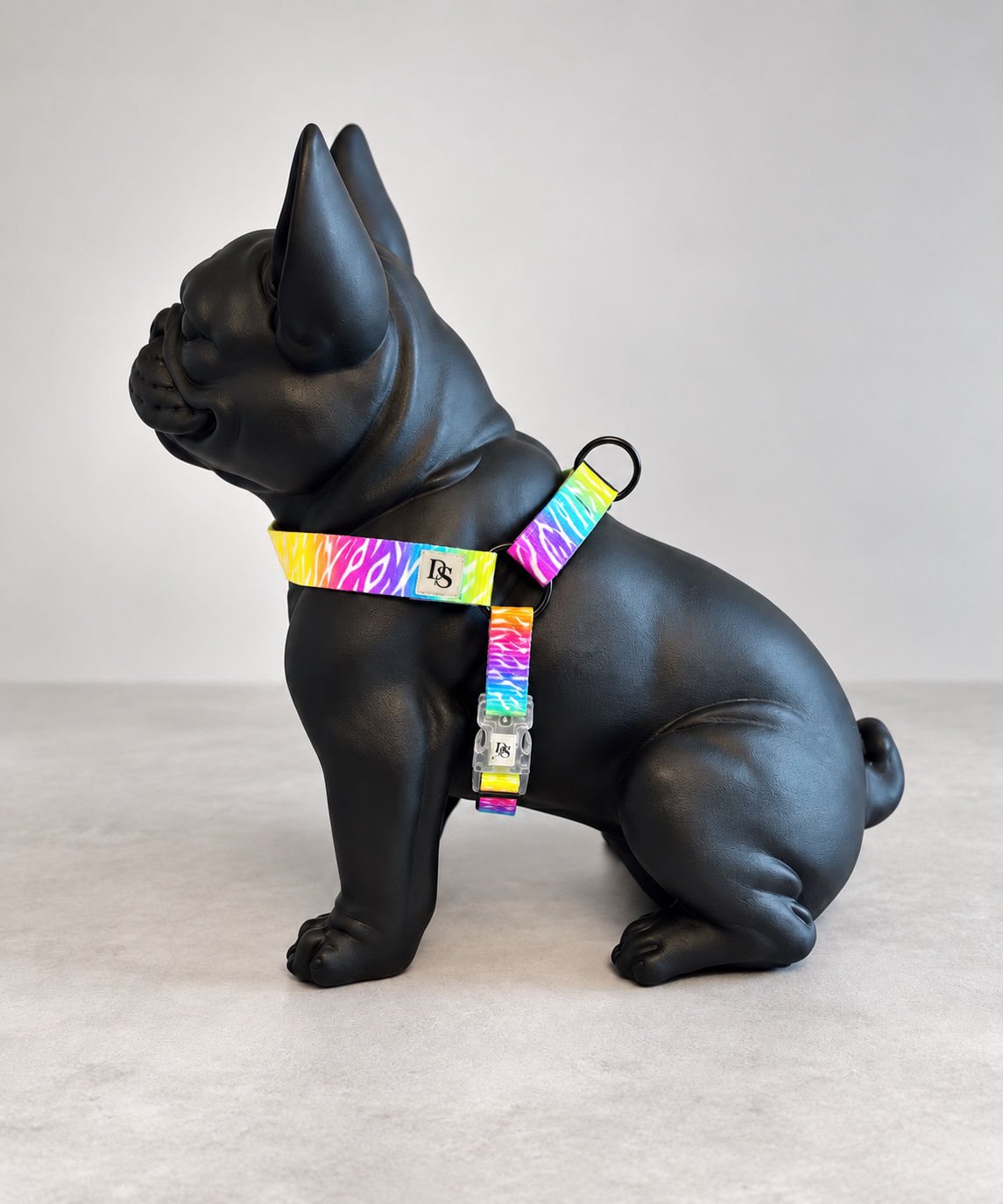 NEON ZEBRA HARNESS