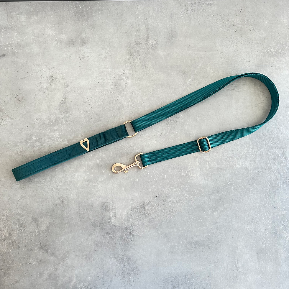 Thumbnail: JADE VELVET LEASH