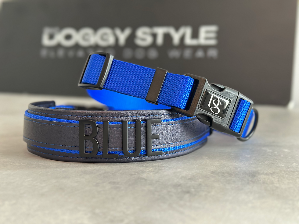Thumbnail: TIMELESS NAVY COLLAR // FAUX LEATHER