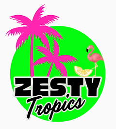 ds logo -2.png