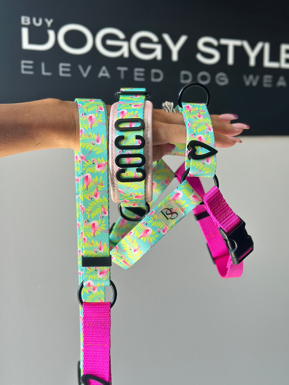 Thumbnail: TROPIC LIKE ITS HOT HARNESS