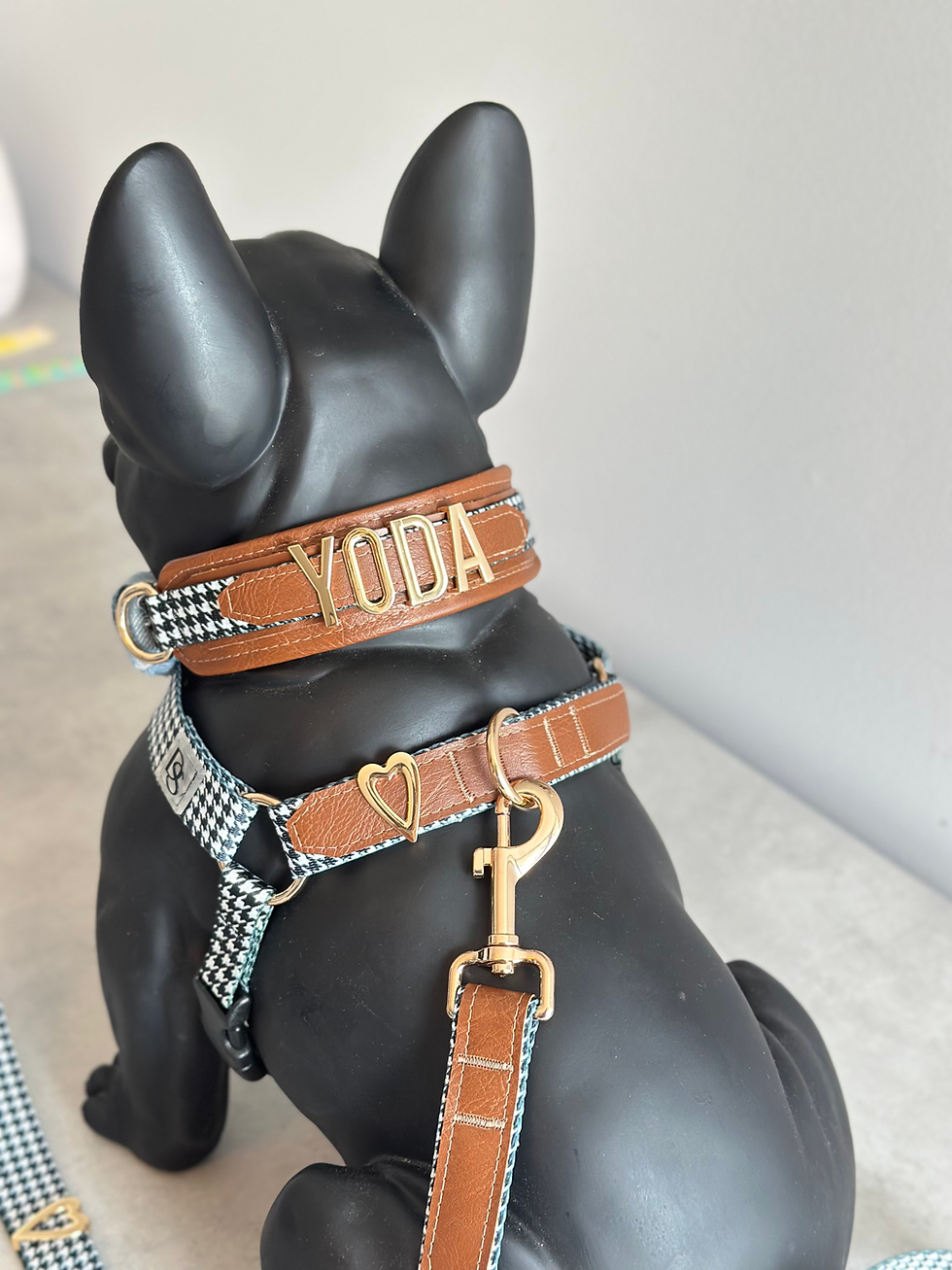 Thumbnail: HOUNDSTOOTH COLLAR