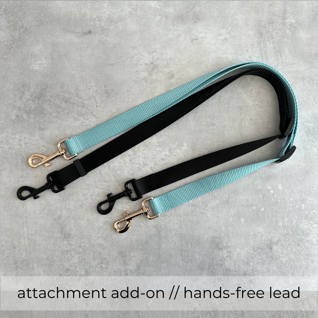 ADD ON - LEASH ATTACHMENT // WEBBING