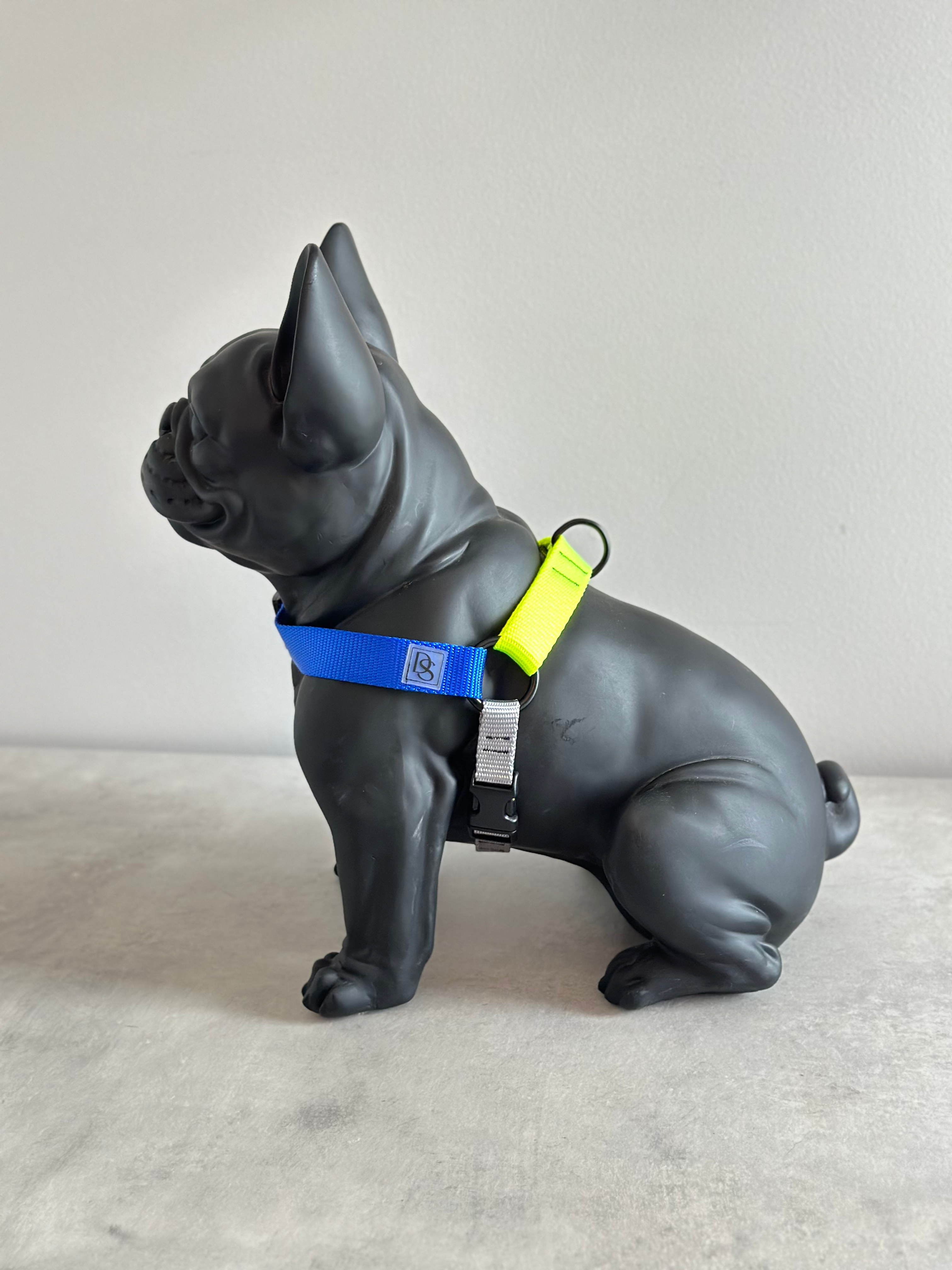 ELECTRIC BLUE+ NEON YELLOW + SILVER HARNESS