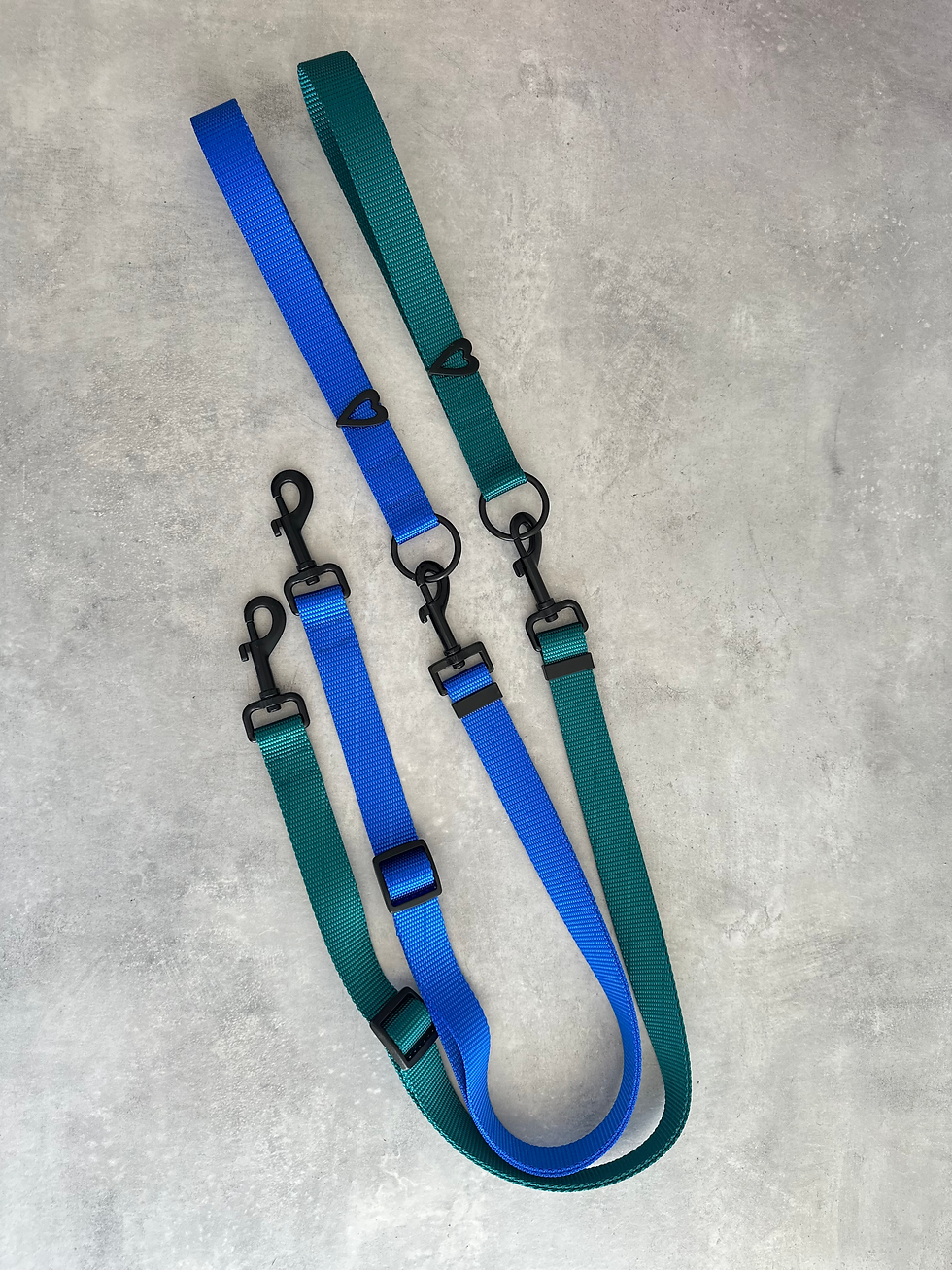 Thumbnail: ADD ON - LEASH HANDLE // WEBBING