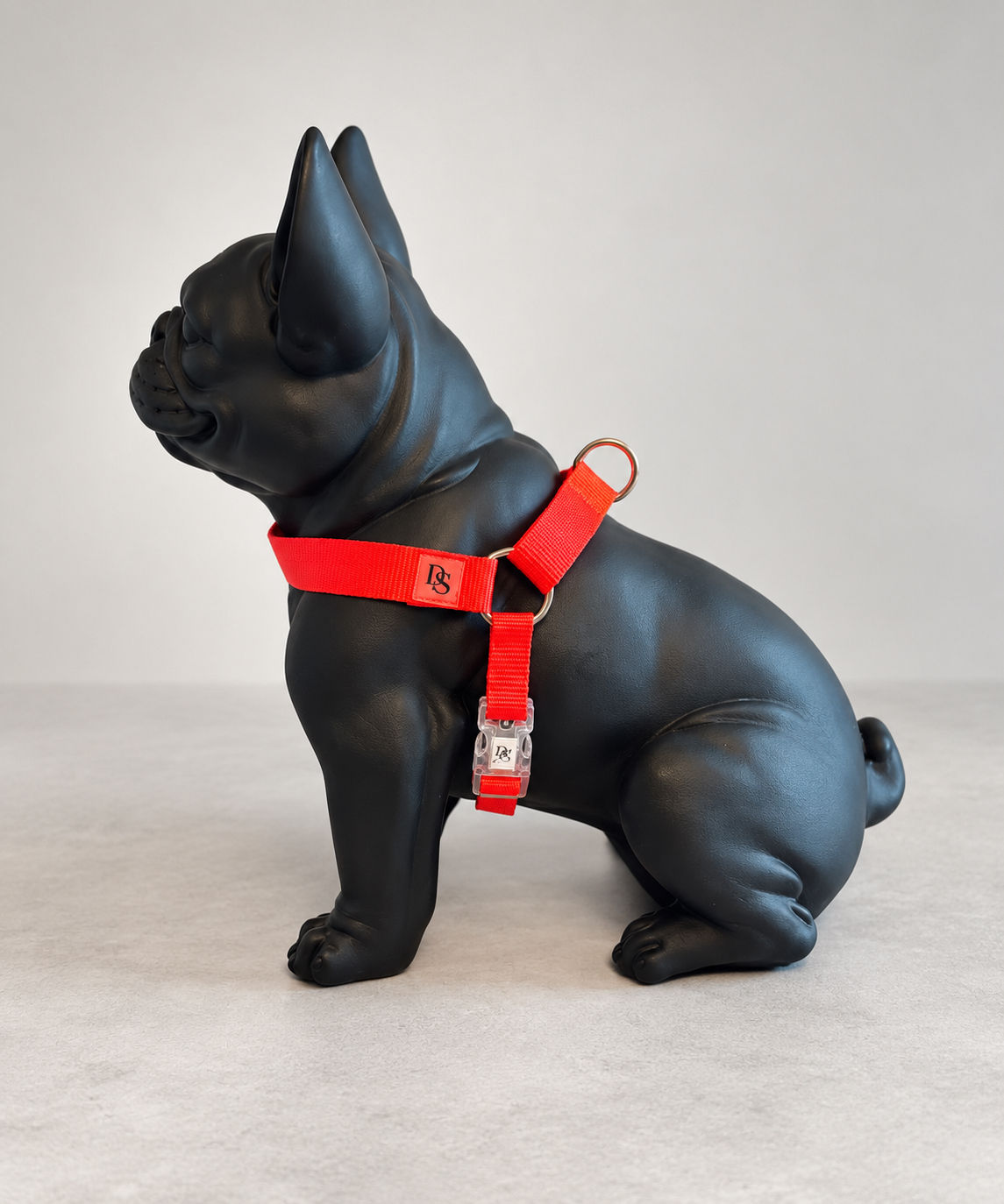 NEON ORANGE HARNESS