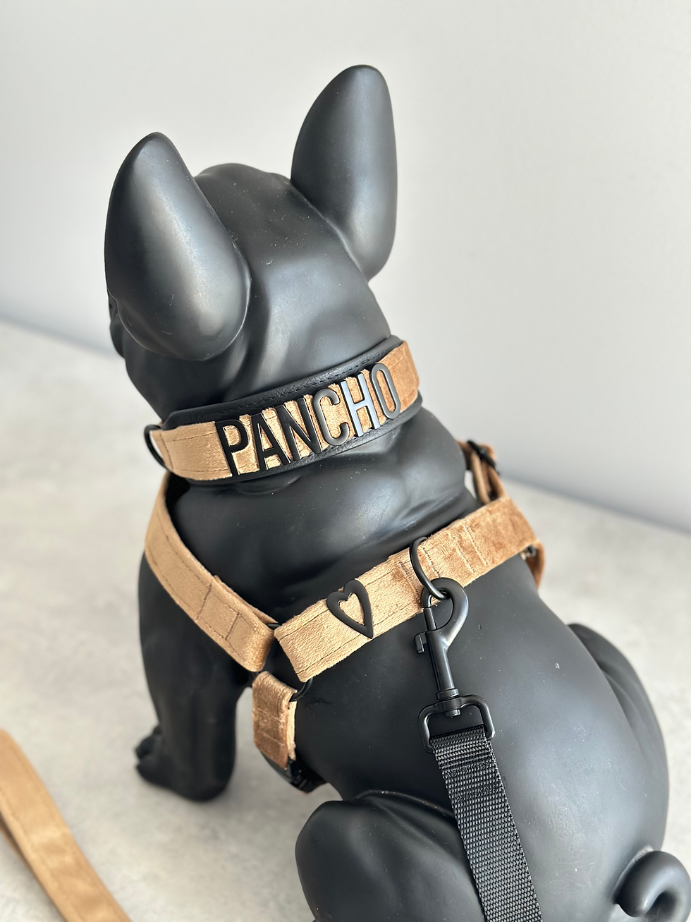 Thumbnail: SABLE TAN VELVET COLLAR