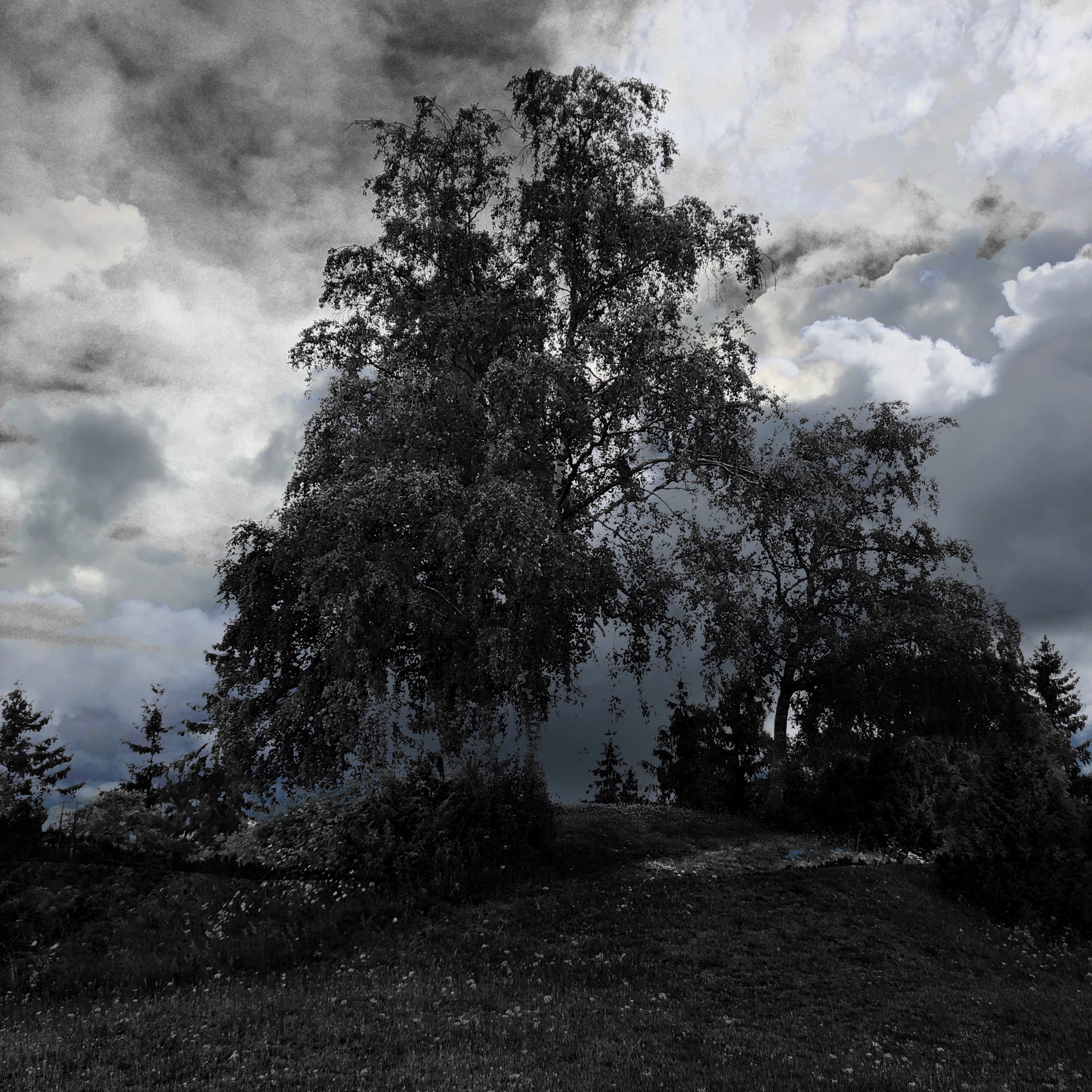 Burialmound- Sankthanshaugen 1