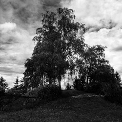Burialmound- Sankthanshaugen 4