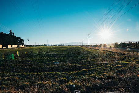A green New Zealand farm with hills, representing the country's diverse industries and the new NES-GHG regulations for industrial process heat.