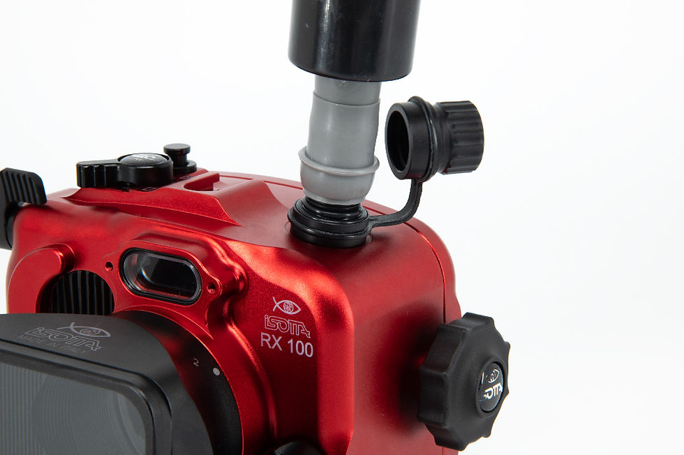 Thumbnail: Isotta Vacuum System