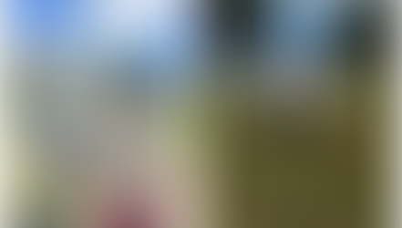 The first Hungarian flag