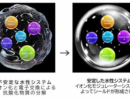 抗酸化成分の代表格タミンCとその常識を覆すアルファサイエンスのNextgen®技術