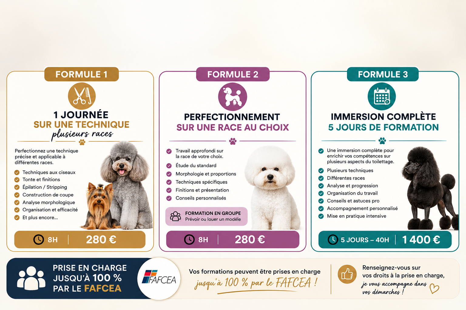 Affiche des trois formules de stage de perfectionnement : technique, race au choix et immersion complète