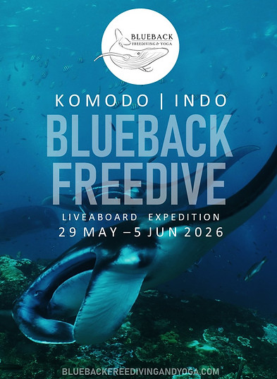 BB KOMODO EXPEDITION Liveaboard 7 nights 29 MAY to 6 JUN 2026 PROGRAM.jpg