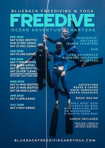 BB Charter Poster Updated New Lena 2025 2026 V2.png