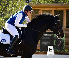 horse.jpeg
