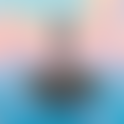 Floriano Peixoto: O Marechal de Ferro que Forjou a República Brasileira