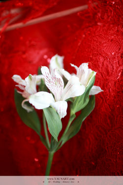 2014-11-19-11-04-19_yau_upload