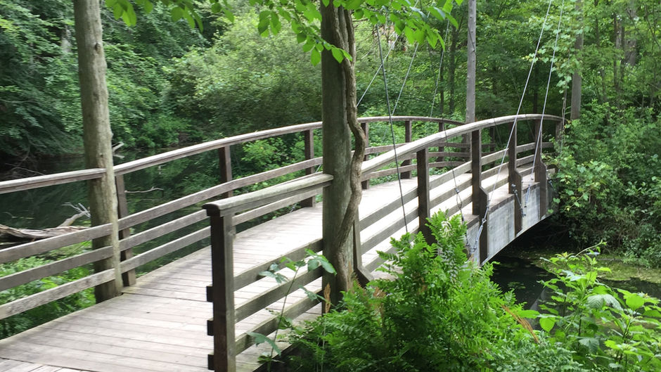 Avalon Nature Preserve