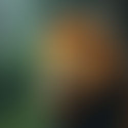 Finding Gratitude in the Chaos