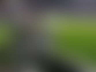 ¿El futbolero paga para ver esto?