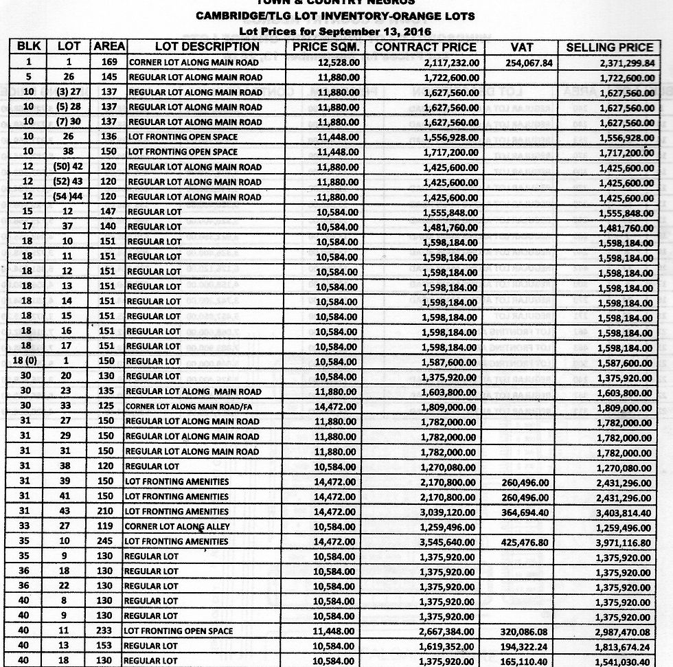 Thumbnail: Town and Country Negros - Lot Only