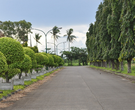 Thumbnail: Town and Country Negros - Lot Only