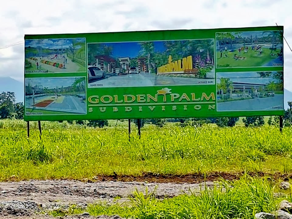 Thumbnail: Golden Palm Subdvision