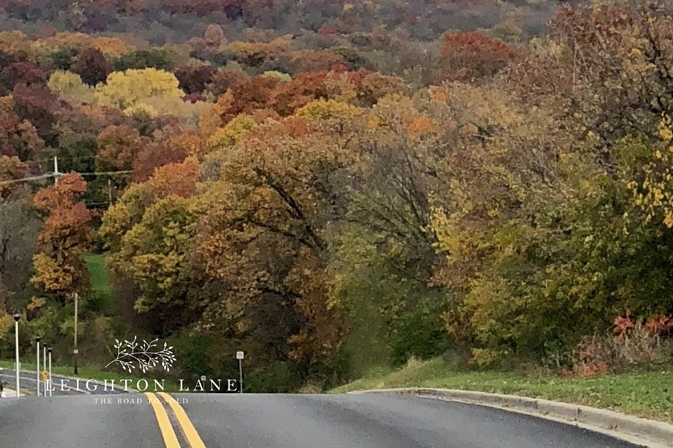 Autumn road curving through colorful fall trees, with Leighton Lane logo and The Road to Sold text.