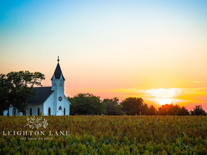 small church in field with sunset