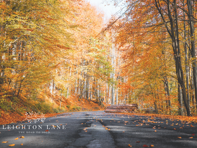 trees changing leaf colors