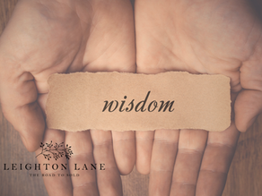 Pursuing Wisdom in Proverbs 14