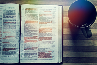 The Transaction of Forgiveness in the Bible Devotional