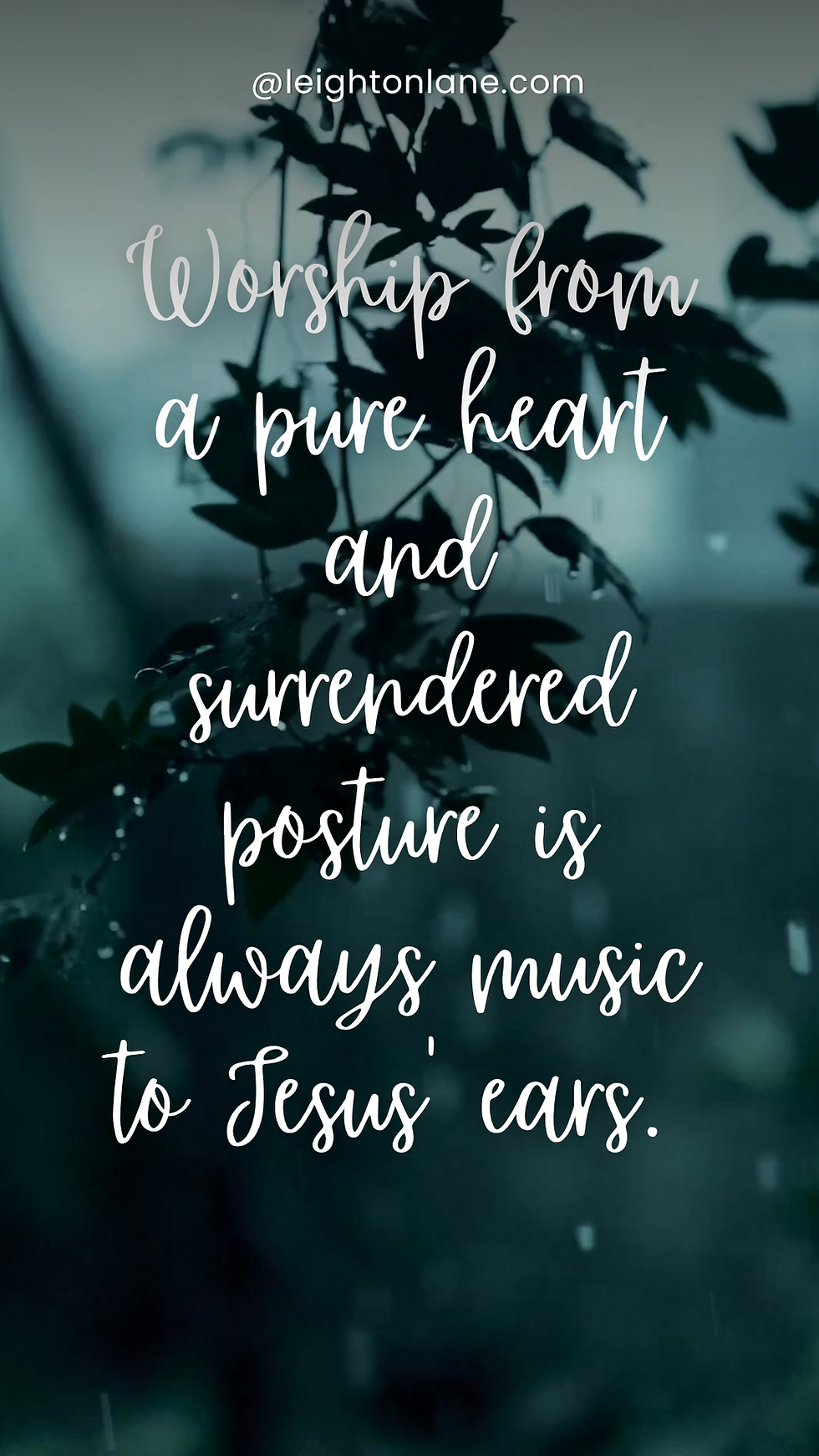 Silhouette of leaves against a bluish background with white text: "Worship from a pure heart..." by leightonlane.com, evoking serenity.
