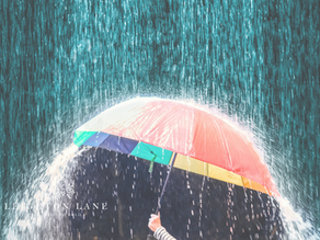umbrella in the rain