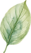 tl.png
