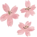 tl (13).webp