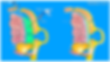 Foto_ErniaCenter_Sito_Web.098.png