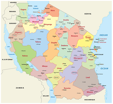 Rosminian Sisters in Tanzania Map.png
