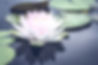 Yoga nidra benefits