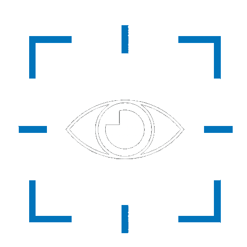 Driver monitoring system 1.png
