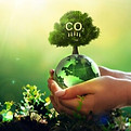 Planète verte avec un arbre tenu dans des mains
