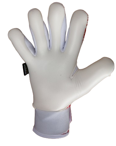 Thumbnail: SPARK F/S - Advanced V5.0