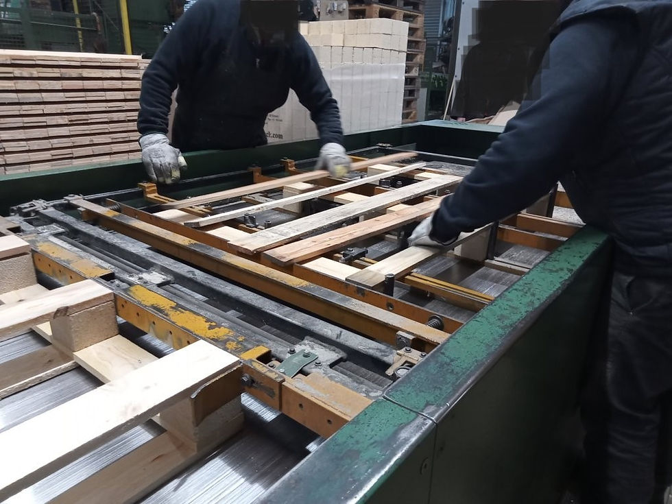 Línea Omev Carro alterno