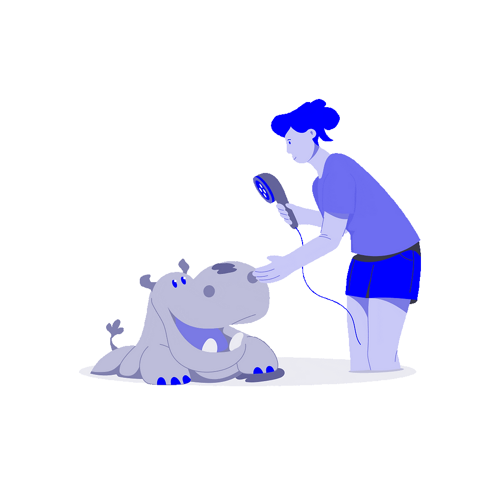 Owner cleaning other pets in household