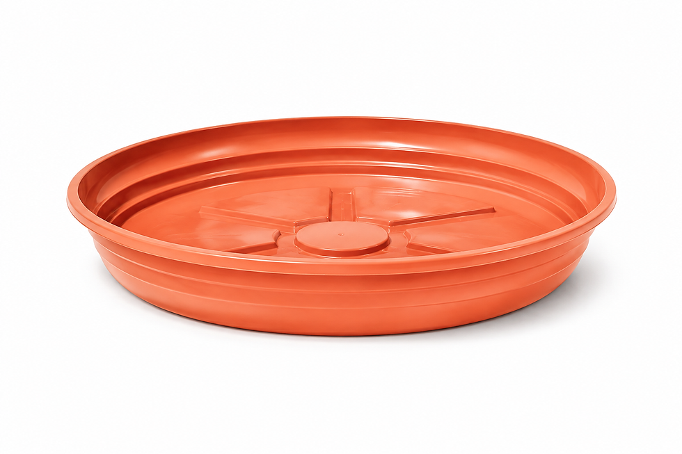 15-Prato Plástico para Vasos.png