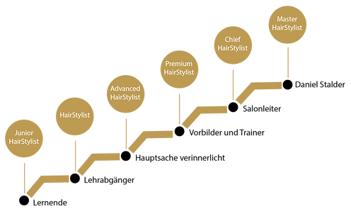 Grafik Karrierestufen_Hauptsache.png