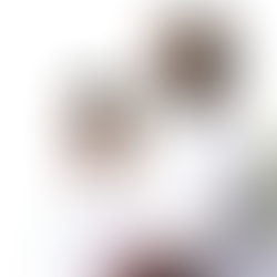 Business Spotlight: Jaequan's Old Fashioned Hot Dogs