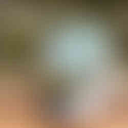 WV New River Gorge Mug